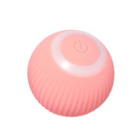 Interactive Rolling Cat Toy
