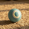 Smart Dog Toy Ball