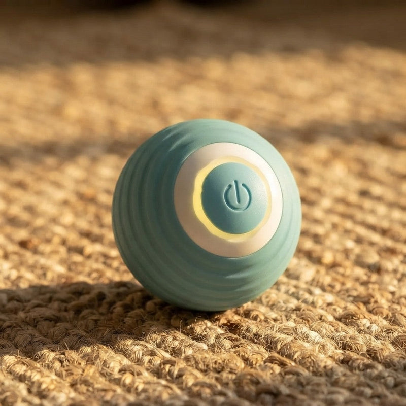 Smart Dog Toy Ball
